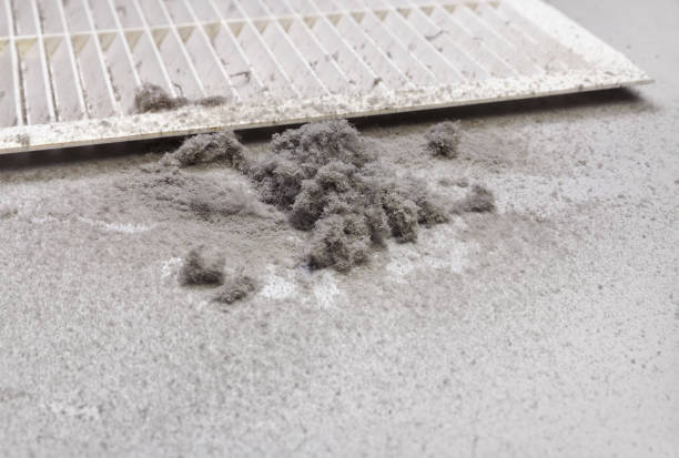 Best HVAC Air Duct Cleaning  in Selmont West Selmont, AL